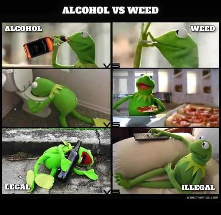 30 Best Weed Memes in 2024