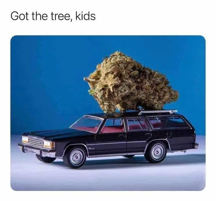 30 Best Weed Memes in 2024