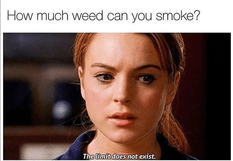 30 Best Weed Memes in 2024