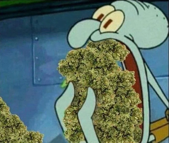 30 Best Weed Memes in 2024